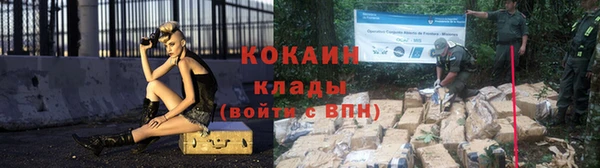 ГАЛЛЮЦИНОГЕННЫЕ ГРИБЫ Козловка