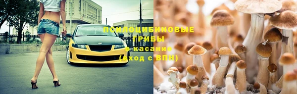spice Кинешма