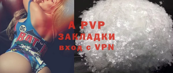 ГАЛЛЮЦИНОГЕННЫЕ ГРИБЫ Козловка