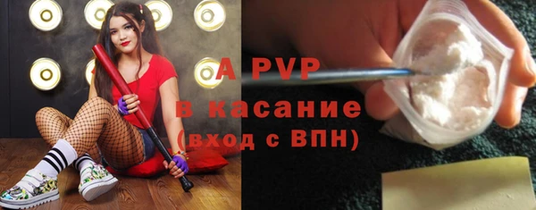 ГАЛЛЮЦИНОГЕННЫЕ ГРИБЫ Козловка