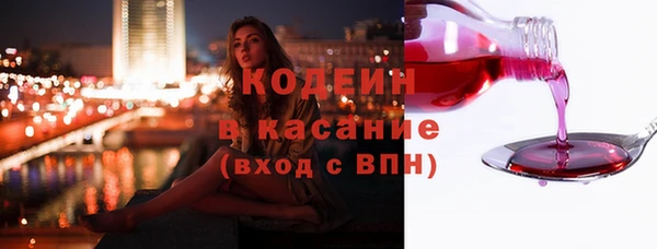 сатива Ачинск