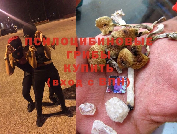 альфа пвп Касимов