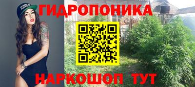 стаф Донской