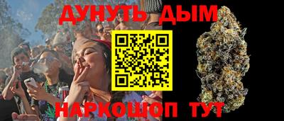 прущие грибы Дубна