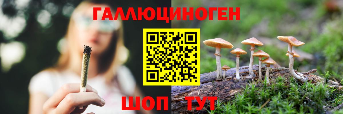 Псилоцибиновые грибы GOLDEN TEACHER Кубинка