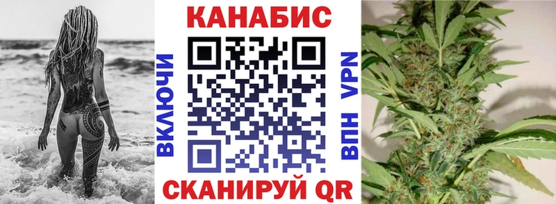 Бошки Шишки семена  продажа наркотиков  Кубинка 